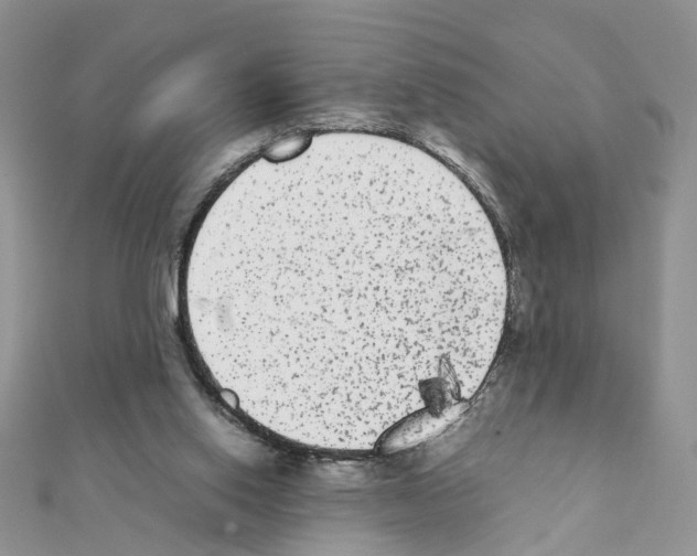 X0000111370062200908211327