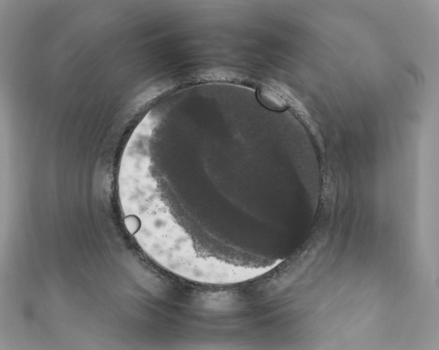 X0000111370063200908211327