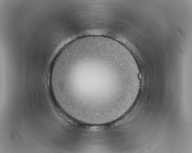 X0000111370064200908211327