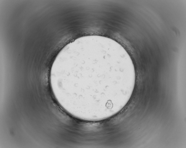 X0000111370065200908211327