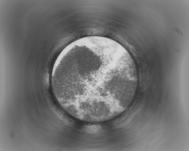 X0000111370067200908211327