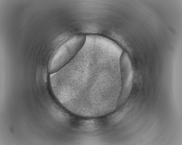 X0000111370068200908211327