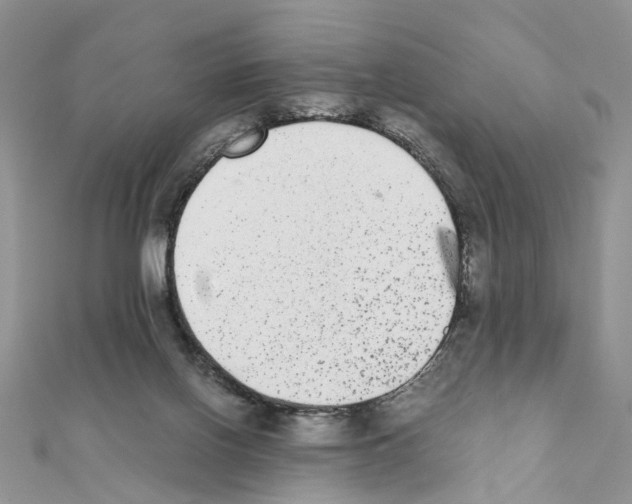 X0000111370070200908211327