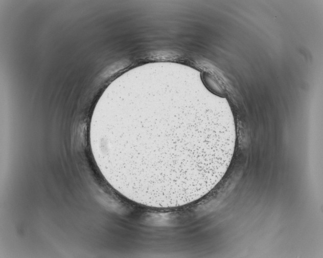 X0000111370071200908211327