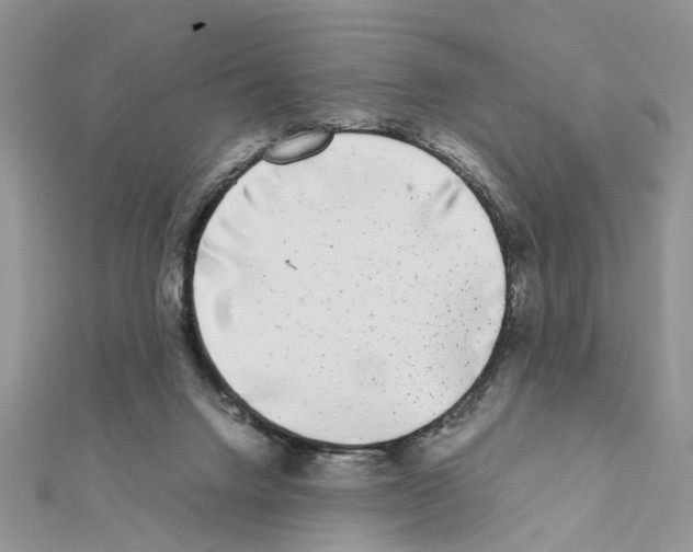 X0000111370072200908211327