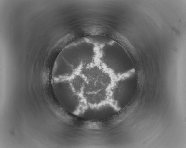 X0000111370073200908211327