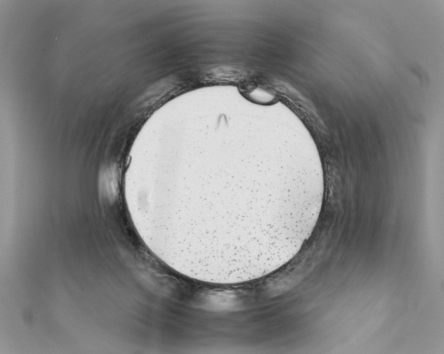 X0000111370075200908211327
