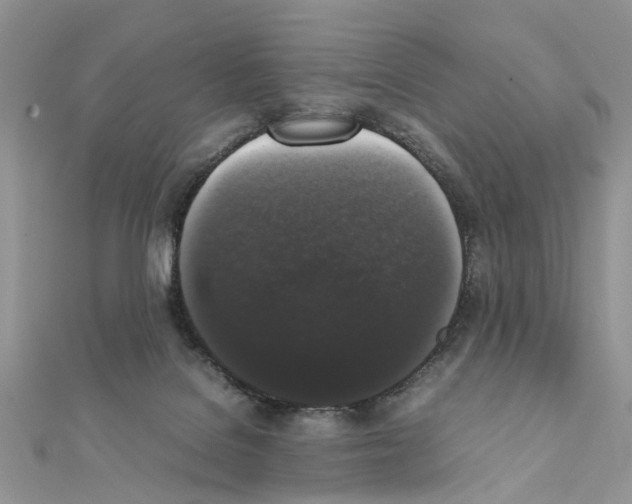 X0000111370076200908211327
