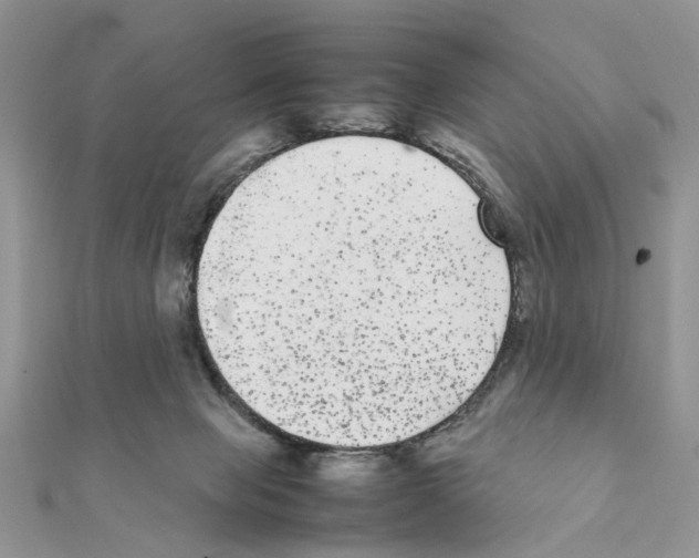 X0000111370077200908211327