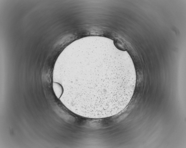 X0000111370078200908211327