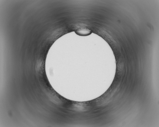 X0000111370079200908211327