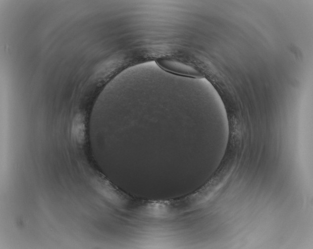 X0000111370080200908211327