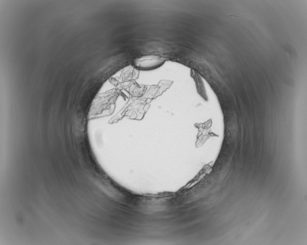 X0000111370081200908211327