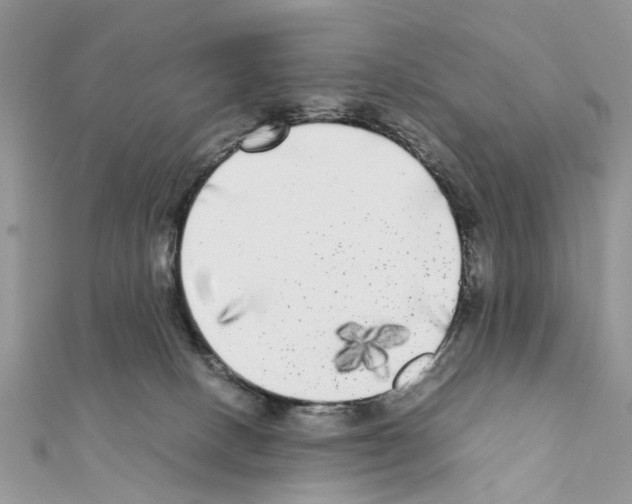 X0000111370082200908211327