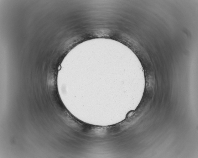 X0000111370084200908211327
