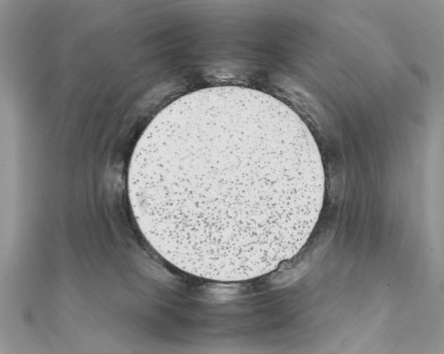 X0000111370085200908211327