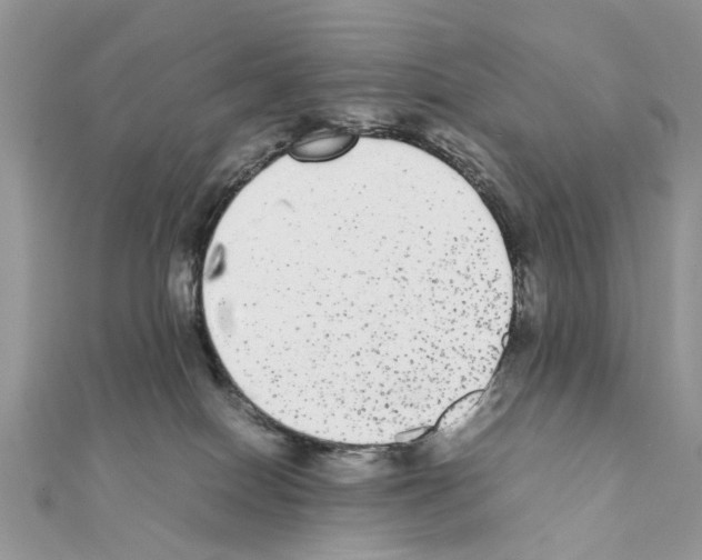 X0000111370086200908211327