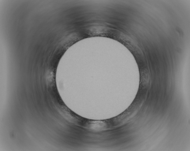X0000111370087200908211327