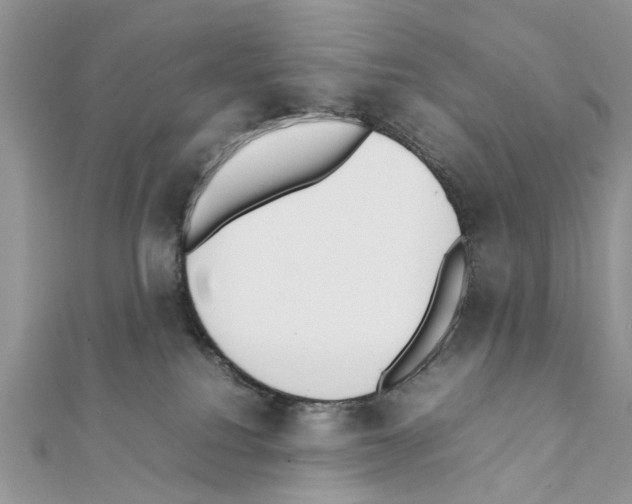 X0000111370088200908211327