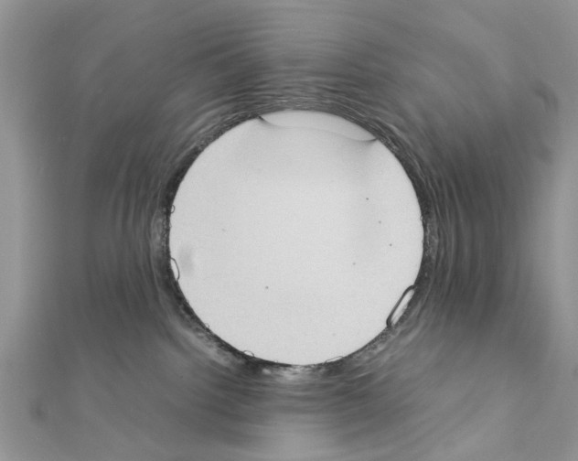 X0000111370092200908211327