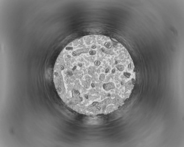 X0000111370093200908211327