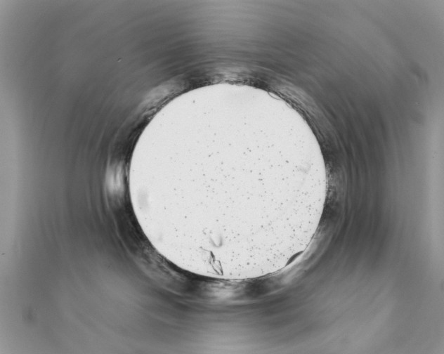 X0000111370094200908211327