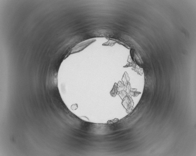 X0000111370095200908211327