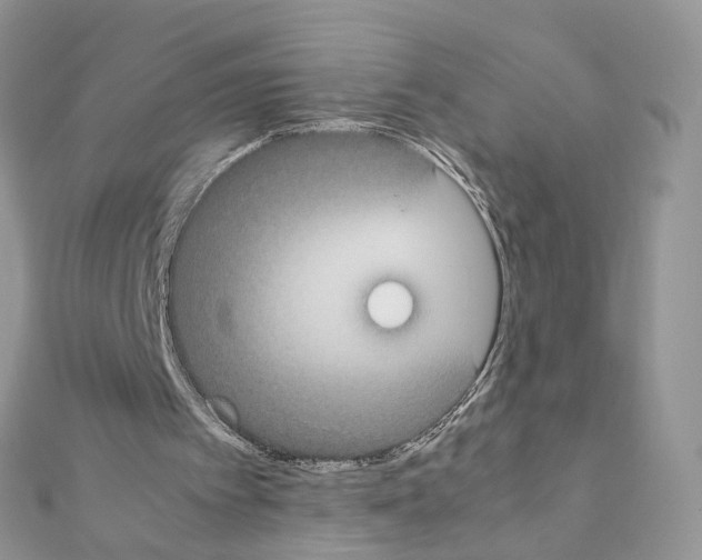 X0000111370097200908211327