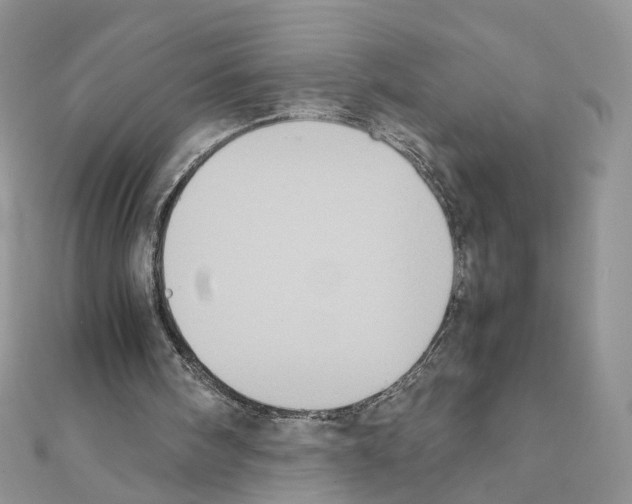 X0000111370098200908211327
