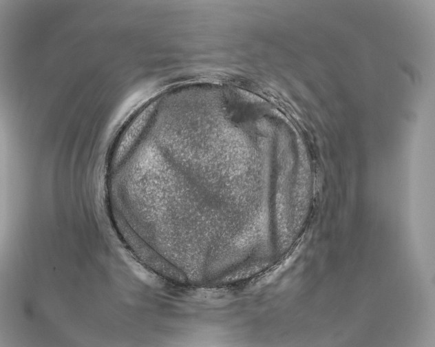 X0000111370101200908211327