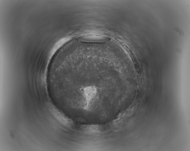 X0000111370104200908211327