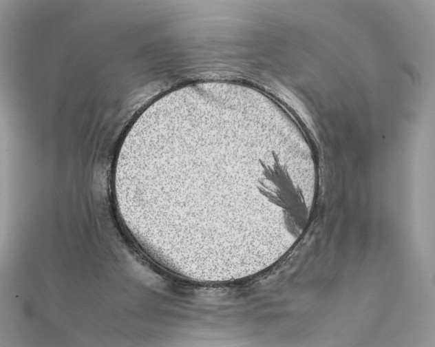 X0000111370105200908211327