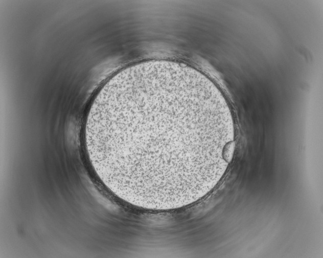 X0000111370106200908211327