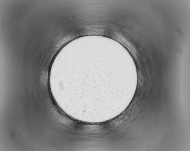 X0000111370107200908211327