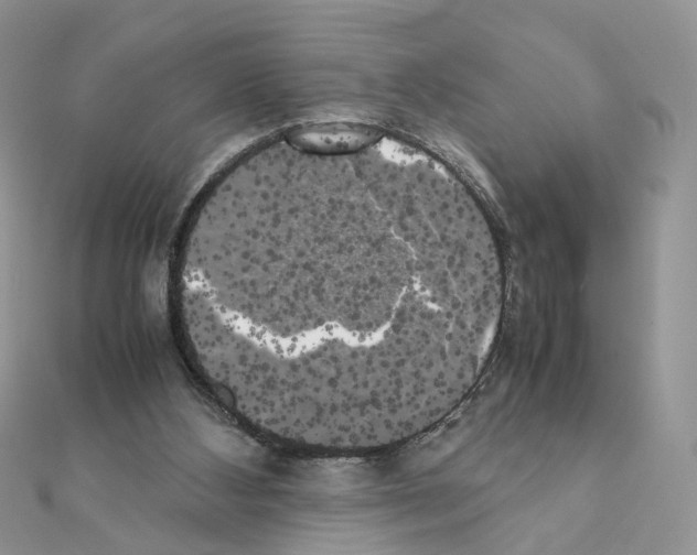 X0000111370108200908211327