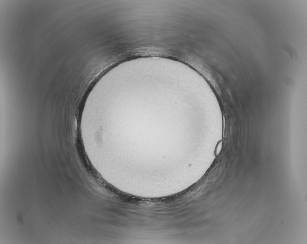 X0000111370109200908211327
