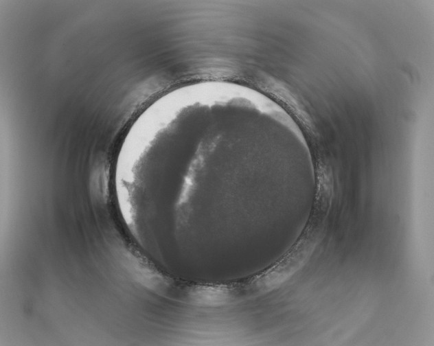 X0000111370110200908211327