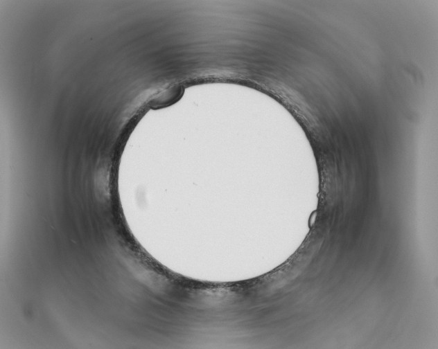 X0000111370112200908211327