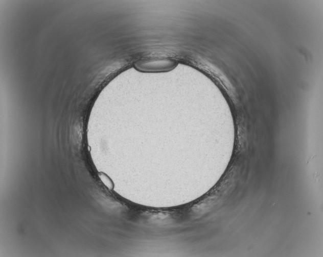 X0000111370113200908211327