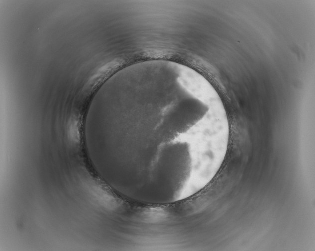 X0000111370114200908211327