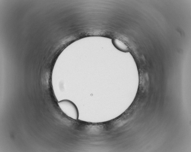 X0000111370115200908211327
