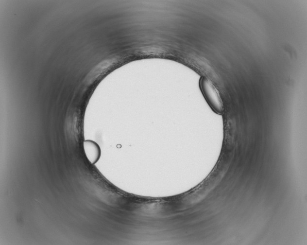 X0000111370116200908211327