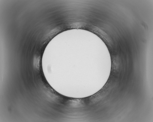 X0000111370118200908211326