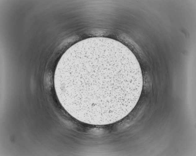 X0000111370119200908211326
