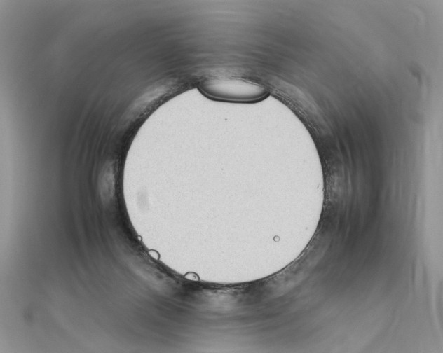 X0000111370120200908211326