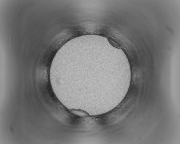 X0000111370121200908211326