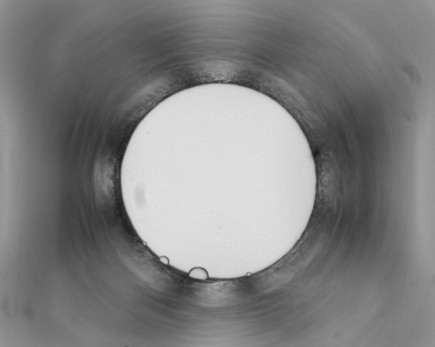 X0000111370122200908211326