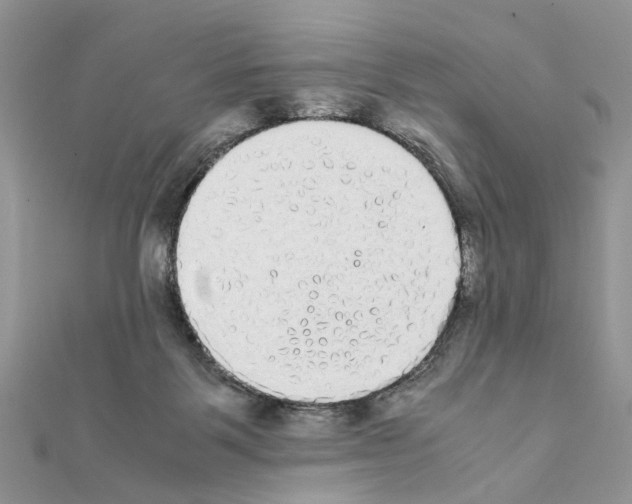 X0000111370123200908211326