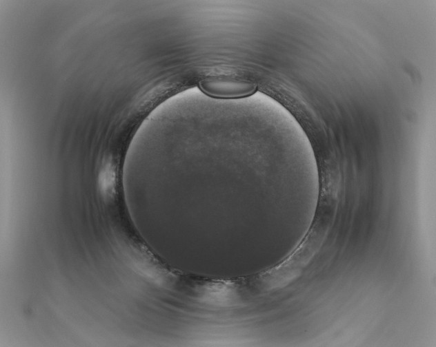 X0000111370124200908211326