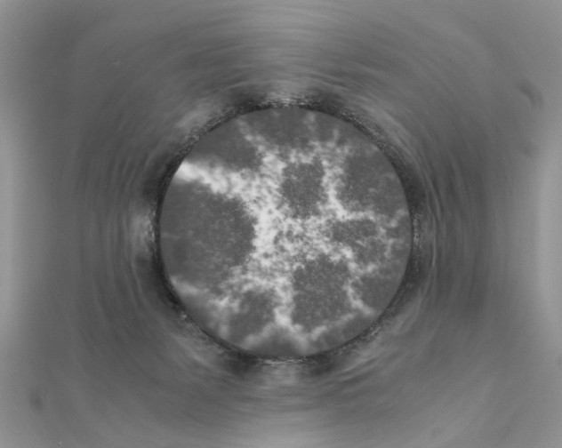 X0000111370127200908211326